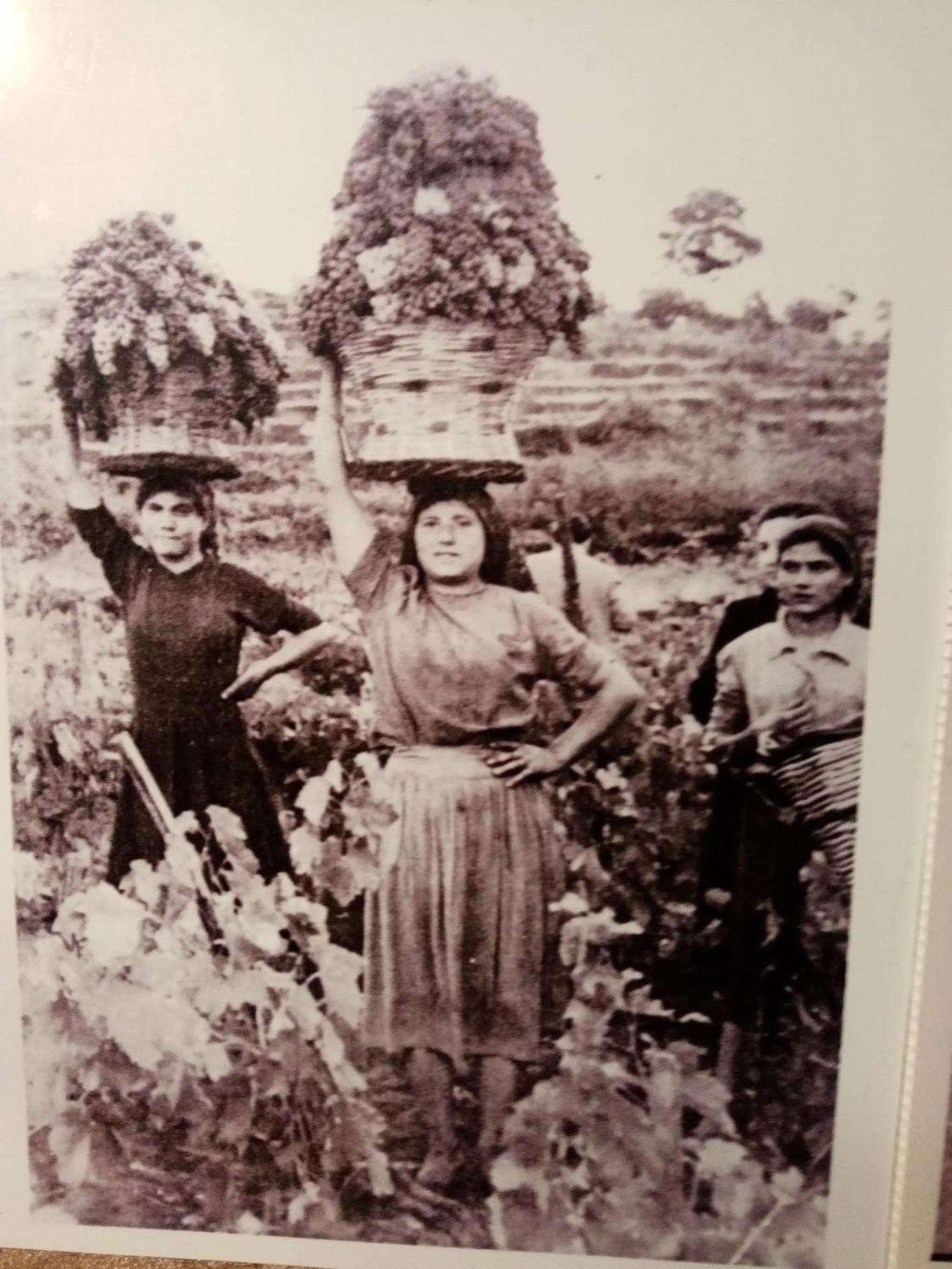 La Finestra sull'Etna Villa Linguaglossa Esterno foto